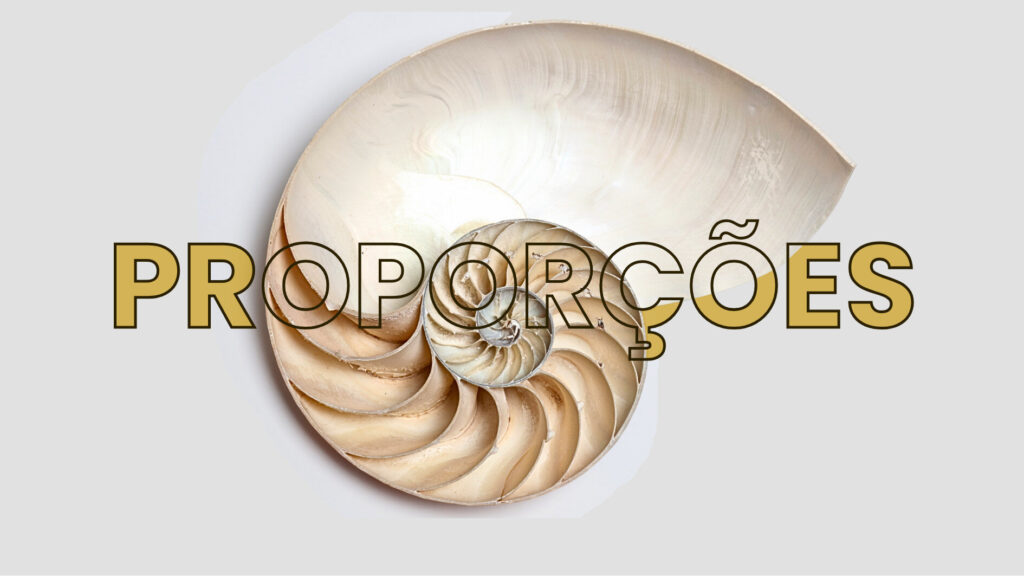 Layout e Proporções